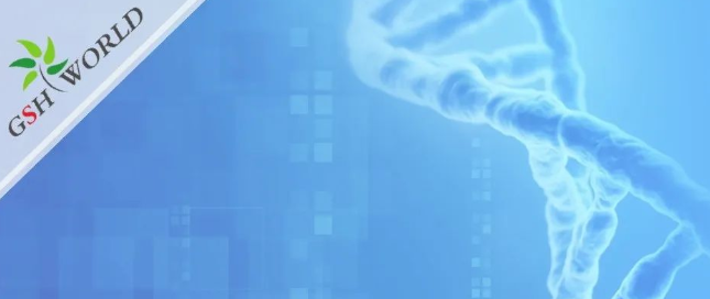 煙酰胺和nmn區(qū)別？煙酰胺單核苷酸(NMN) 的化合物