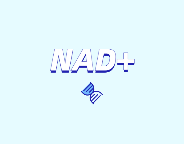 NAD與NMN的全新概念？