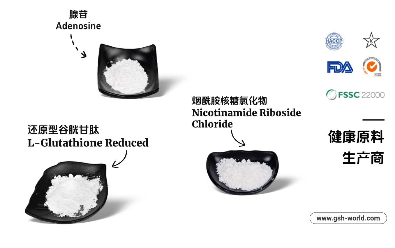 古特生物