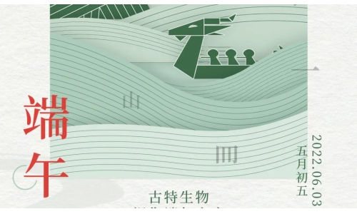 端午 - 爭流而上，行舟踏浪