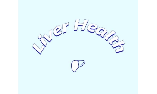 哪些原料可助力肝臟健康？
