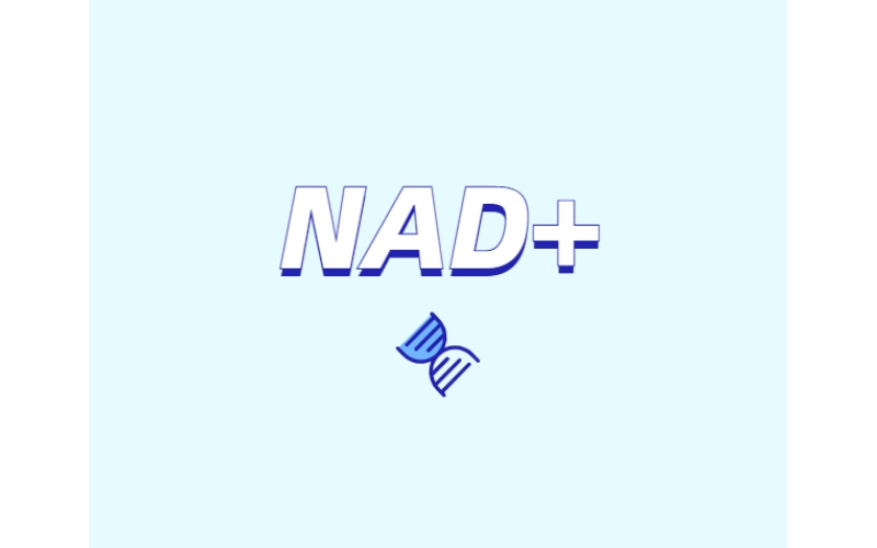 NAD與NMN的全新概念？